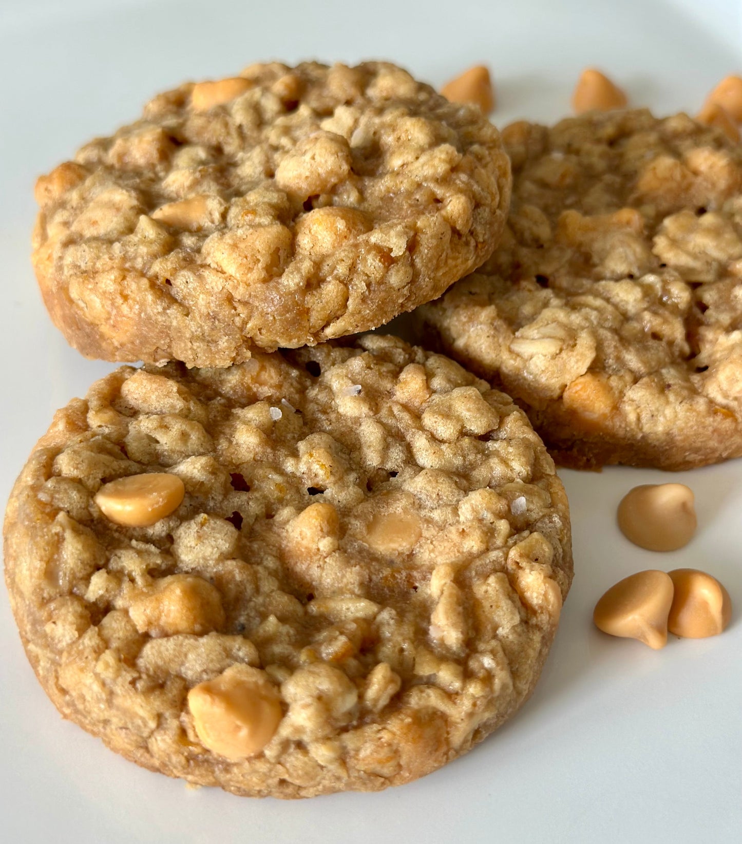 Oatmeal Scotchies!